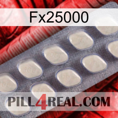 Fx25000 08